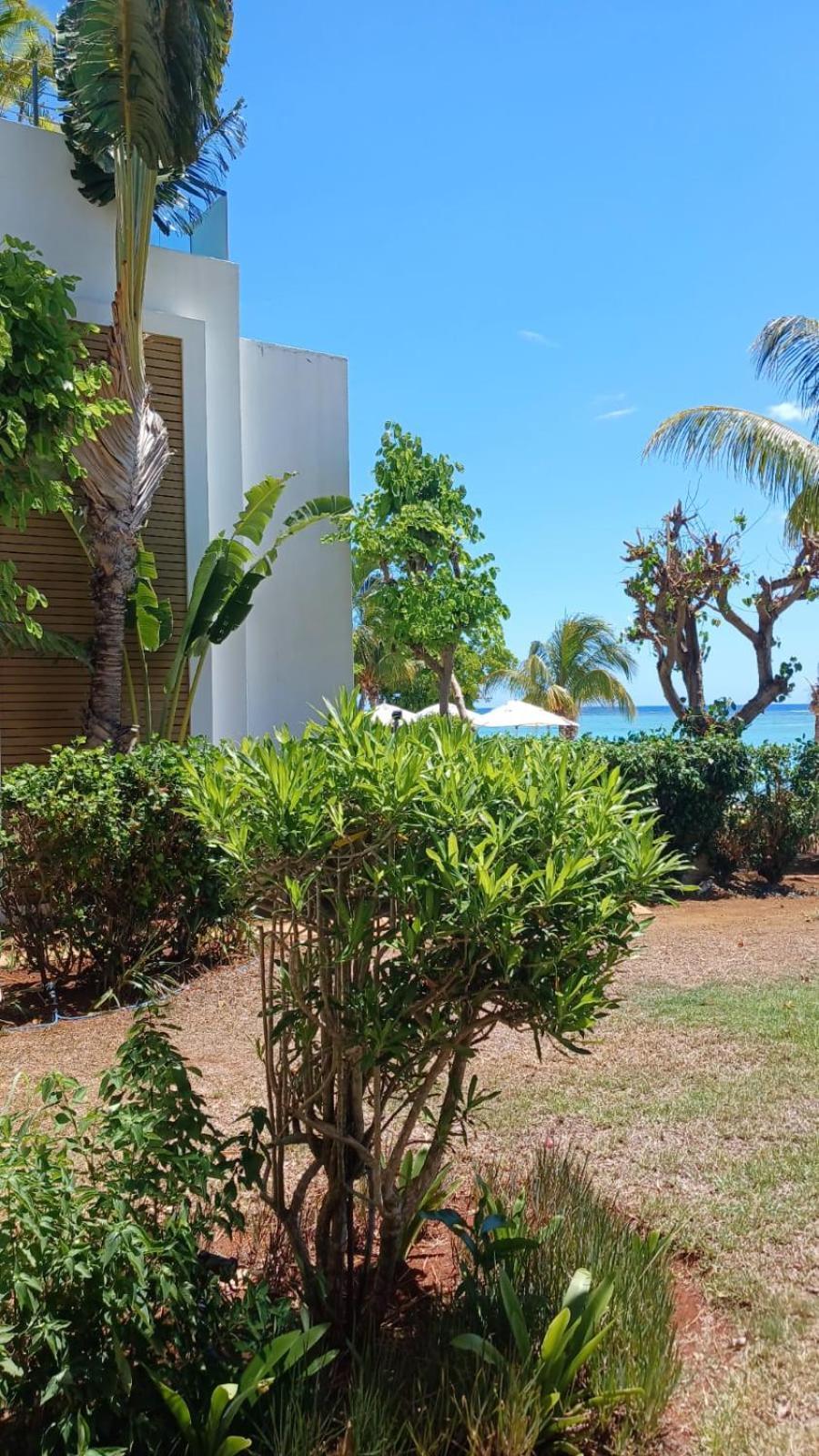 Cap Ouest Luxury Beachfront Flic-en-Flacq 외부 사진